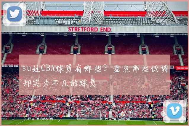 su姓CBA球员有哪些？盘点那些低调却实力不凡的球员