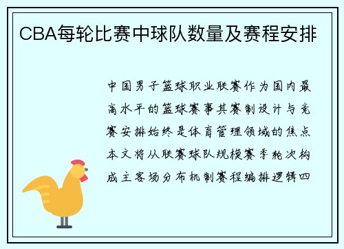 CBA每轮比赛中球队数量及赛程安排